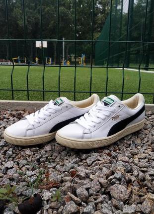 Кроссовки кеды puma basket4 фото