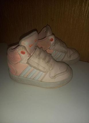 Хайтопи, кросівки adidas