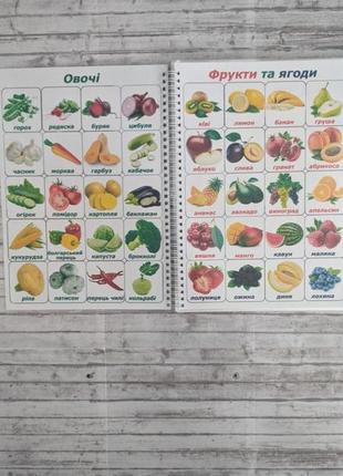 Багаторазовий зошит для вивчення овочів, фруктів та ягід2 фото