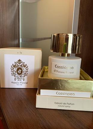 Cassiopea tiziana terenzi