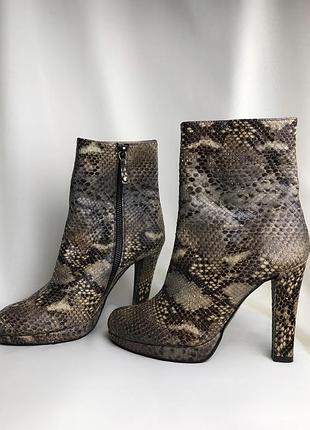 Черевики зі зміїної шкіри russel&bromley шкіряні ботильони на підборах змія шкіряні зміїні черевики на підборах, натуральна шкіра змії