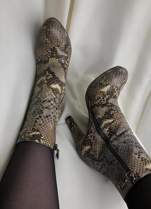 Черевики зі зміїної шкіри russel&bromley шкіряні ботильони на підборах змія кожаные змеиные ботинки на каблуке натуральная кожа змеи6 фото