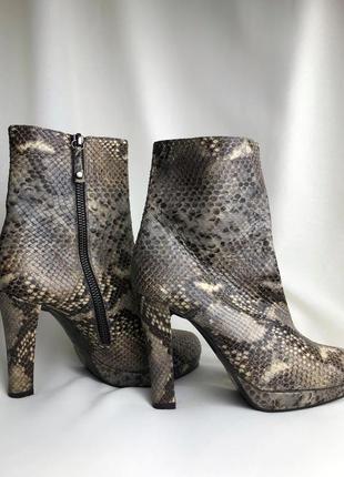 Черевики зі зміїної шкіри russel&bromley шкіряні ботильони на підборах змія кожаные змеиные ботинки на каблуке натуральная кожа змеи3 фото