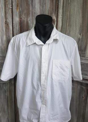 Стильна чоловіча сорочка бавовняна від h&m