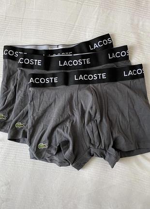 Труси lacoste