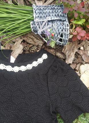 Блузка жіноча 42/462 фото