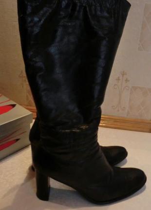 Чоботи чоботи зима жіночі камея