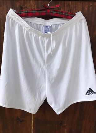 Футбольные шорты adidas parma 16 shorts8 фото