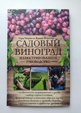 Садовый виноград