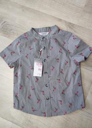 Стильна сорочка primark