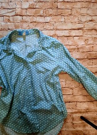 Сорочка, блуза2 фото
