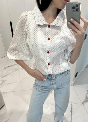 Блуза в горошек6 фото