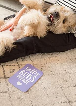 Pearhead карточки для фото домашний питомец собака щенок маркер новые10 фото