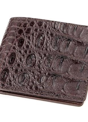 Бумажник мужской crocodile leather 18289 из натуральной кожи крокодила коричневый