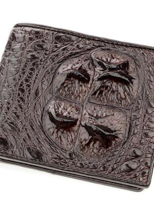 Бумажник мужской crocodile leather 18581 из натуральной кожи крокодила коричневый