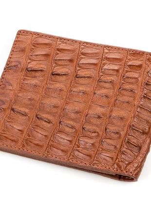 Кошелек crocodile leather 18164 из натуральной кожи крокодила коричневый2 фото