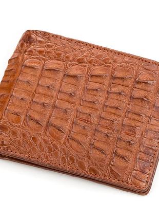 Кошелек crocodile leather 18164 из натуральной кожи крокодила коричневый1 фото