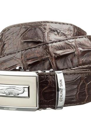 Ремень автоматический crocodile leather 18606 из натуральной кожи крокодила коричневый1 фото