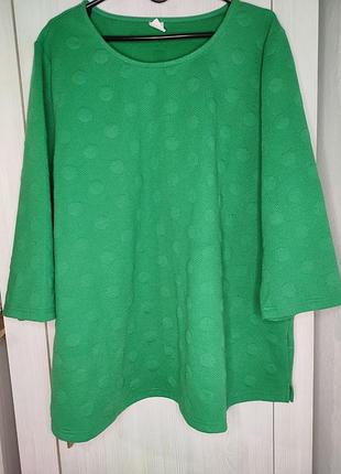 Реглан плотний яркий