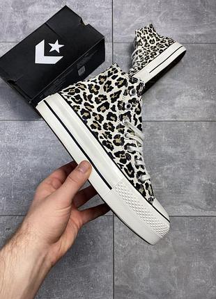 Converse chuck taylor високі білі леопардові жіночі кеди