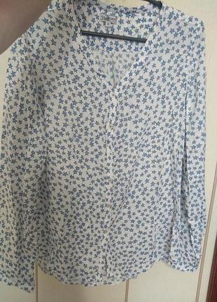 Стильная блуза