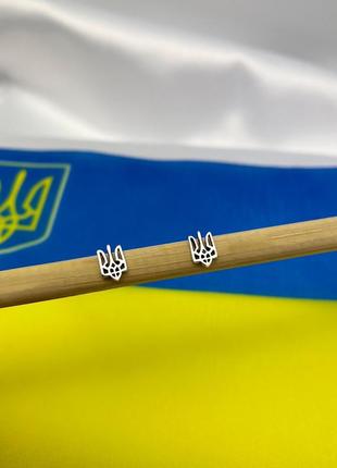 Сережки срібло 925 гвоздики тризуб патріот україна 2361