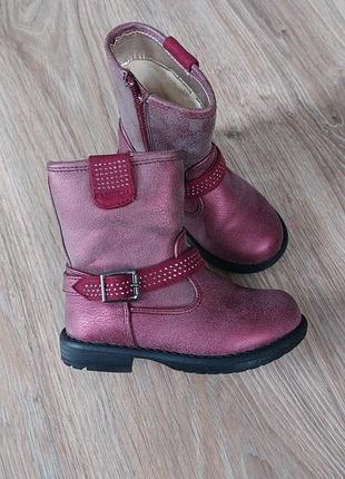 Демисезонные ботинки чоботи