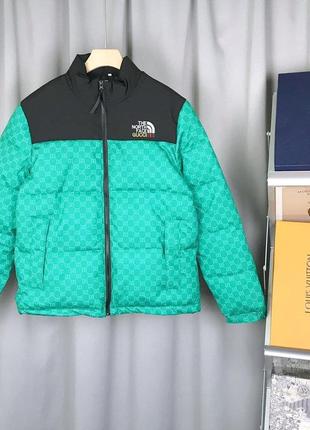 Пуховик laquo;the north face&raquo