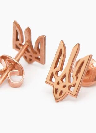 Срібні сережки з позолотою