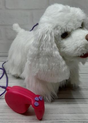 Велика інтерактивна собачка на повідку hasbro furreal