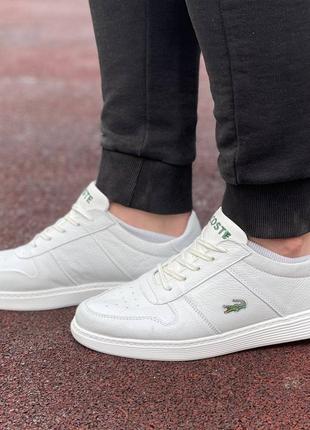 Кросівки lacoste для любителів класичного одягу2 фото