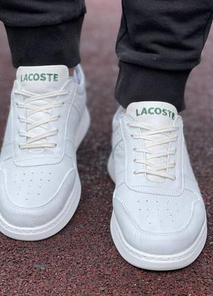 Кросівки lacoste для любителів класичного одягу4 фото