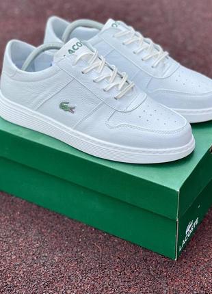 Кросівки lacoste для любителів класичного одягу7 фото