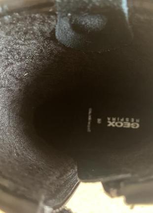 Дитячі демісезонні черевики geox eclair 29,30,31 р. джеокс10 фото