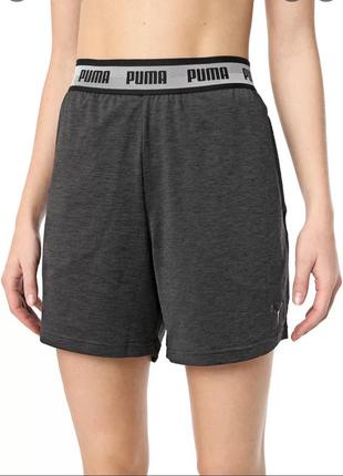 Puma drycell жіночі  шорти розмір s1 фото
