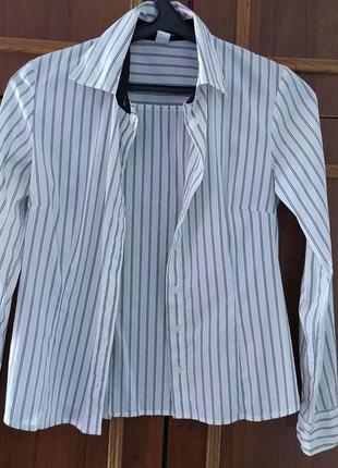 Сорочка в смужку фірмова