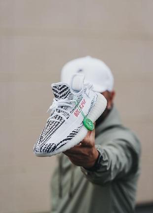 Мужские кроссовки womens adidas track pants v2 zebra#адидас