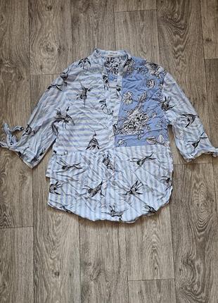 Блуза жіноча