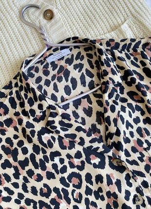 Леопардовая блузка блуза bershka сорочка леопардовий принт4 фото