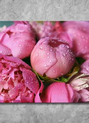 Картина рожевий піон великі квіти фотодрук на полотні на дерев'яному підрамнику 60х40