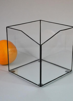 Флораріум ручної роботи куб із верхнім зрізом. флораріум скляний. моссаріум куб9 фото