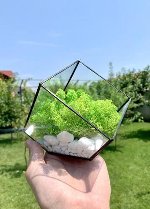 Флораріум ручної роботи куб із нижнім зрізом. флораріум скляний. моссаріум куб2 фото