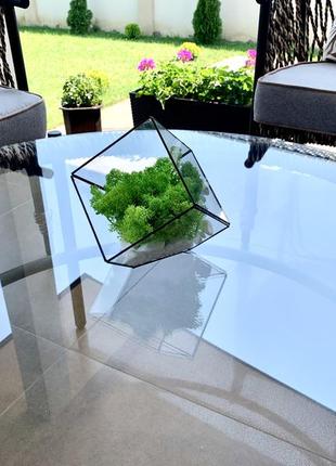 Флораріум ручної роботи куб із нижнім зрізом. флораріум скляний. моссаріум куб5 фото