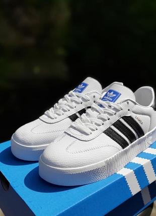 Жіночі шкіряні кросівки adidas samba