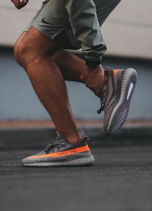 Кросівки чоловічі adidas yeezy boost 350 v2 beluga/кросівки чоловічі адідас ези буст 350 в2 білуга4 фото