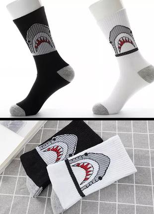 Шкарпетки з акулою