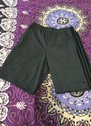 Шорты adidas новые