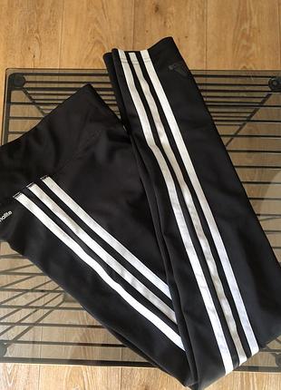 Лосины adidas