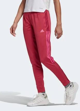 Adidas tiro 21 спортивні брюки жіночі