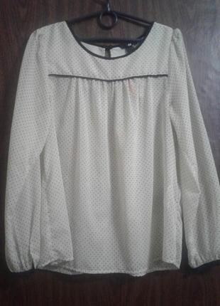 Блуза в горошек hsm3 фото